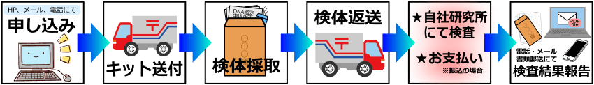 妊娠中の親子dna鑑定ならptc研究所 Ptc Laboratories